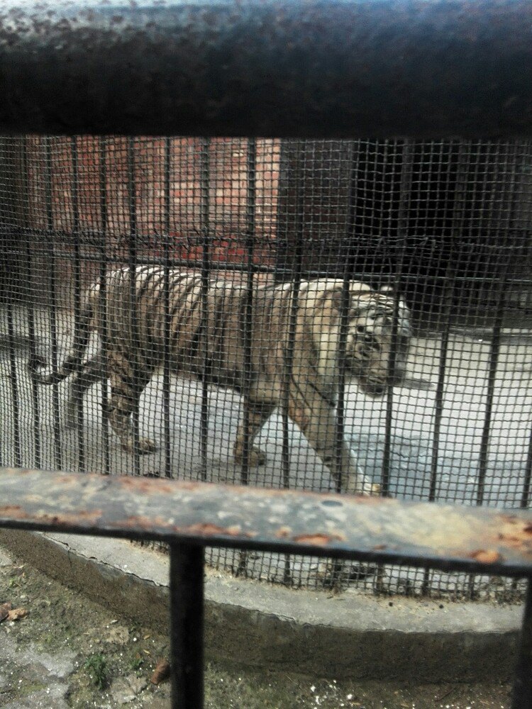 【携程攻略】河南信阳溮河公园好玩吗,河南溮河公园景点怎麼样_点评