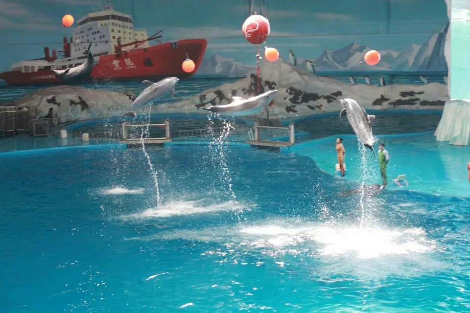 青岛海昌极地海洋公园