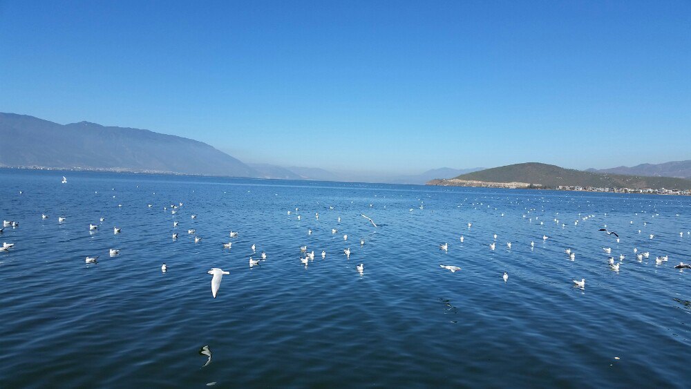 【携程攻略】云南洱海景点,大理,非常美丽的小城!