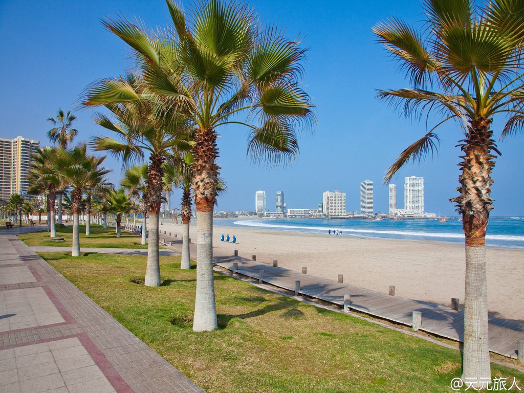 天堂智利 南美最大自由贸易港伊基克iquique 伊基克游记攻略 携程攻略 天堂智利 南美最大自由贸易港伊基克iquique 伊基克游记攻略 携程攻略