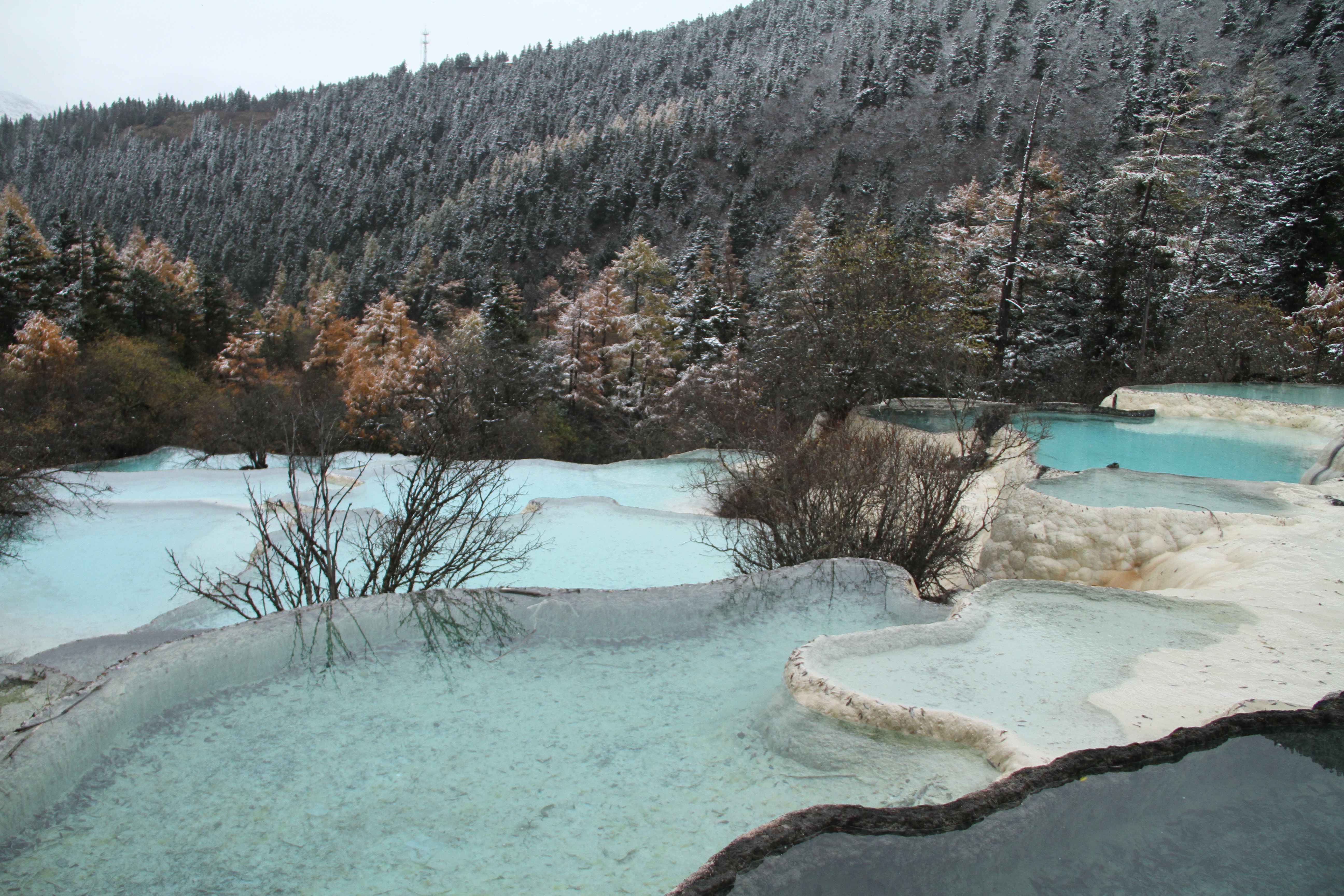 2018争艳池_旅游攻略_门票_地址_游记点评,黄龙风景名胜区旅游景点