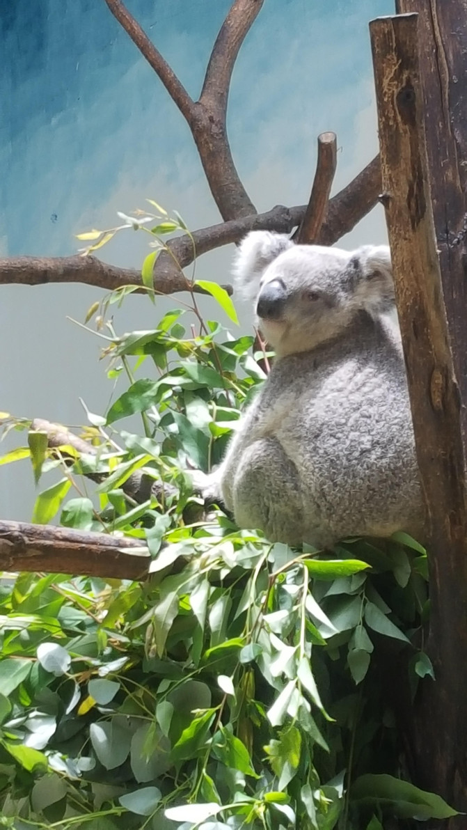 北京至广州长隆高铁亲子行