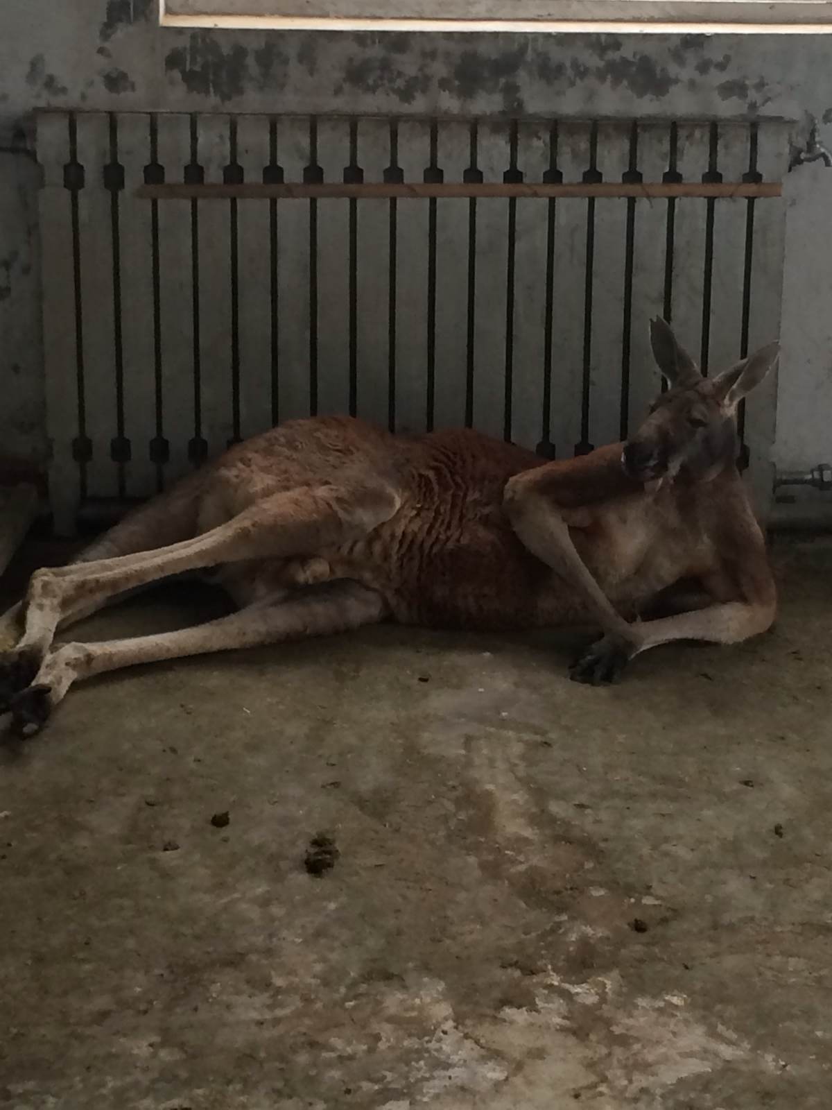 太原動物園