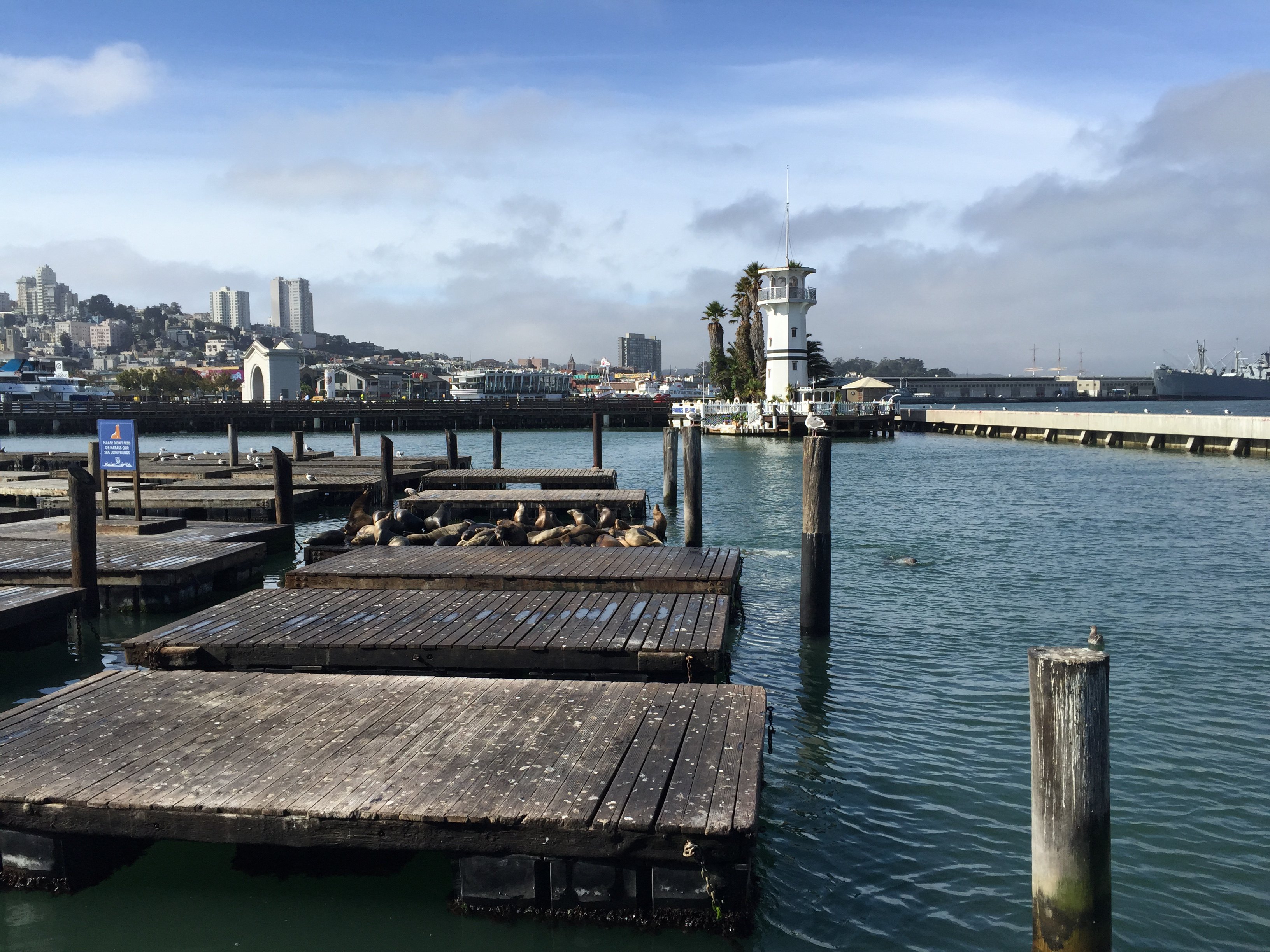 旧金山39号码头攻略,旧金山39号码头门票/游玩攻略/地址/图片/门票