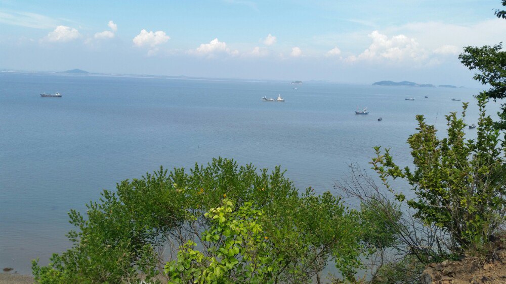 大鹿岛