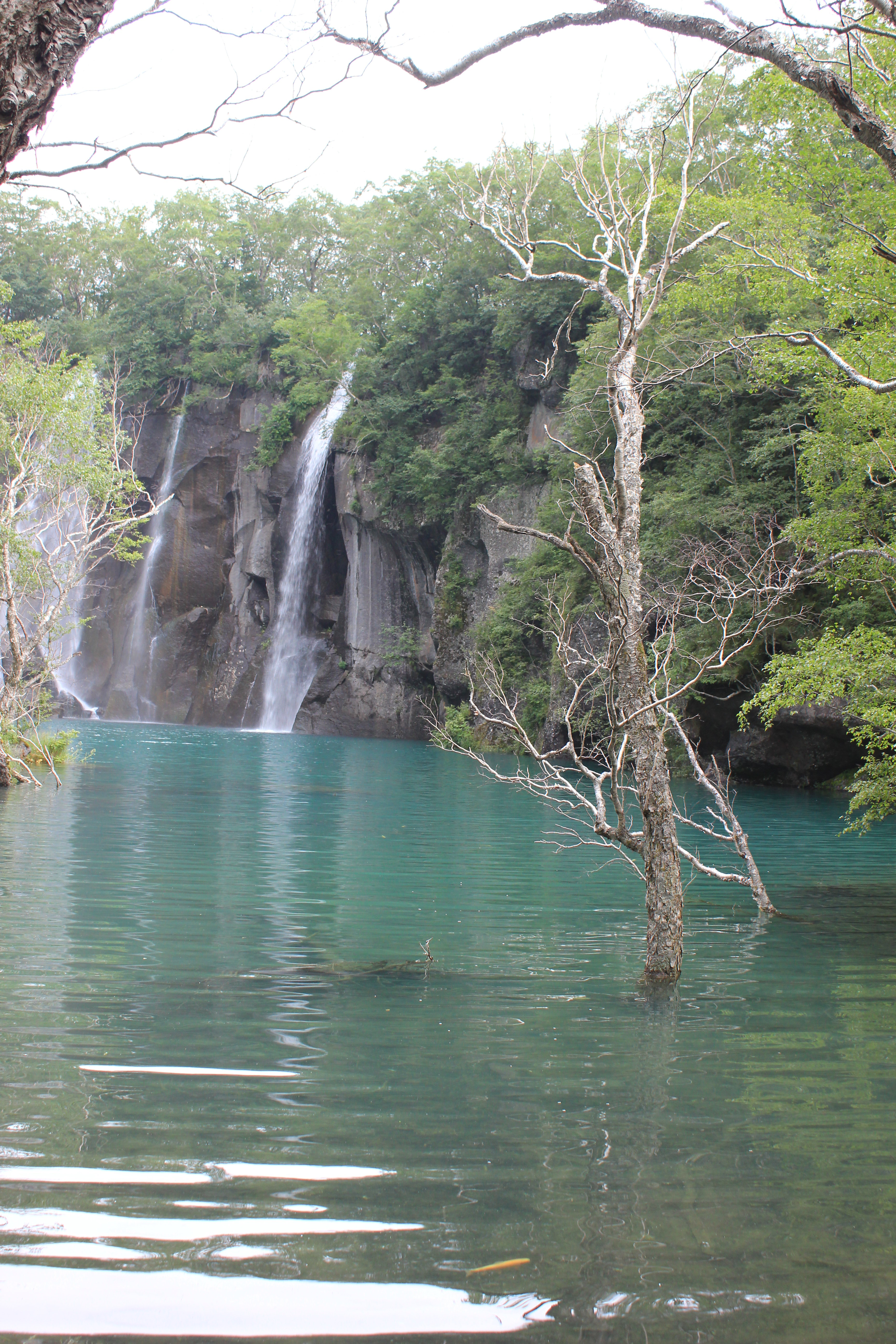 長白山北坡綠淵潭好玩嗎,長白山北坡綠淵潭景點怎麼樣_點評_評價