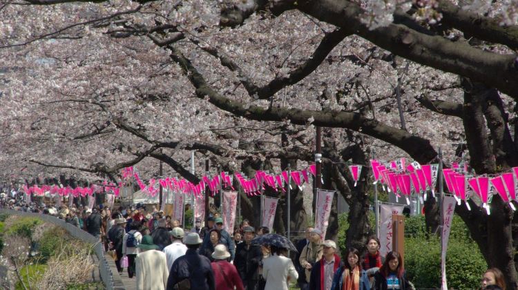 东京隅田公园攻略 隅田公园门票价格多少钱 团购票价预定优惠 景点地址图片 携程攻略