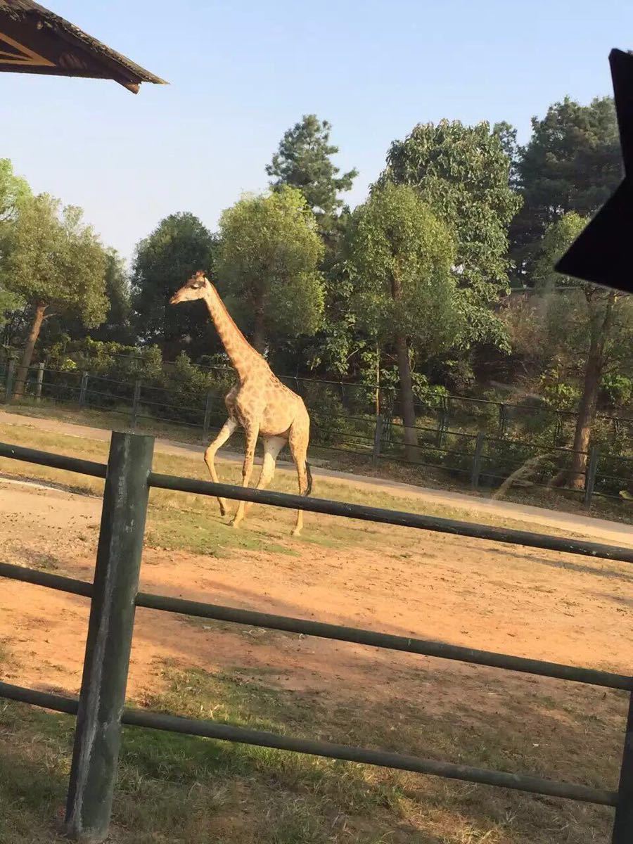 長沙生態動物園