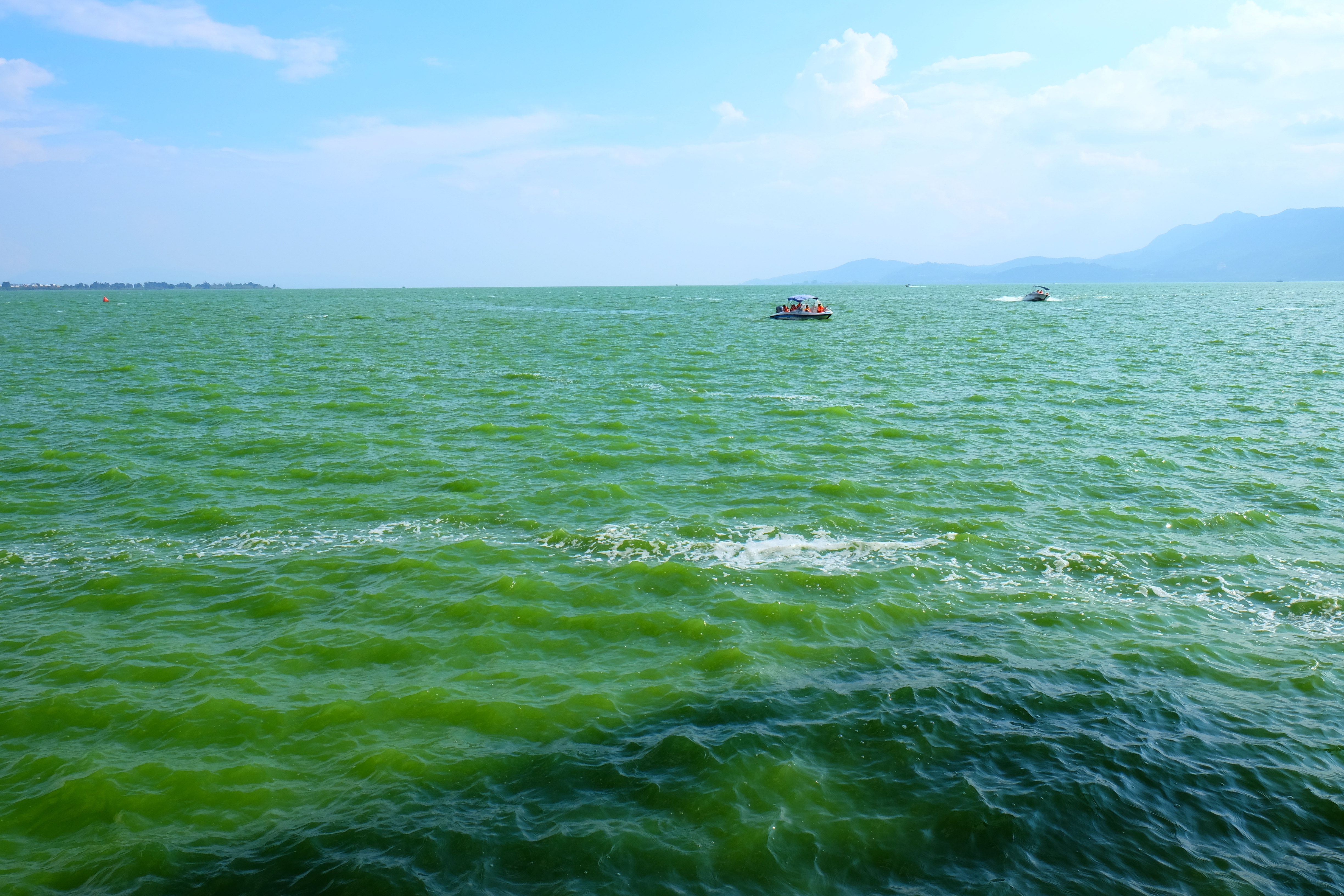 【攜程攻略】昆明滇池適合單獨旅行旅遊嗎,滇池單獨旅行景點推薦/點評