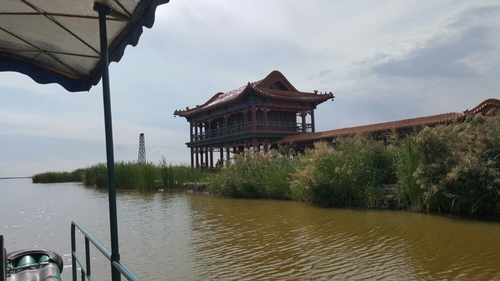哈素海