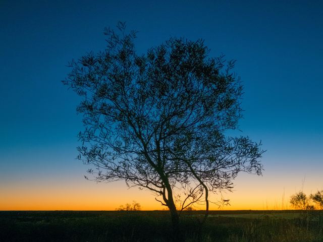 乌鲁鲁-卡塔丘塔国家公园