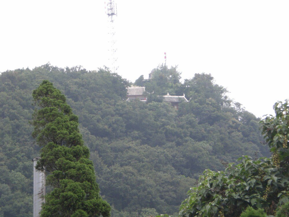 左云东山森林公园图片