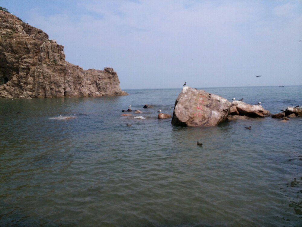 【攜程攻略】山東海驢島適合家庭親子旅遊嗎,海驢島家庭親子景點推薦