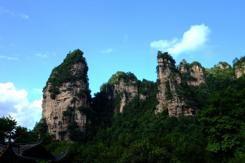 大氧吧广场