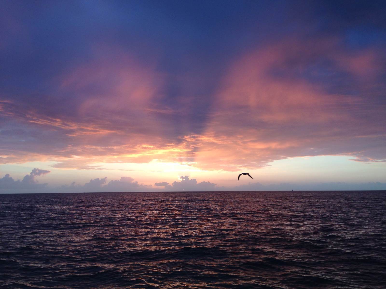 【携程攻略】佛罗里达佛罗里达礁岛群基韦斯特西礁岛好