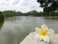 【携程攻略】洪圣公园门票,江门洪圣公园攻略