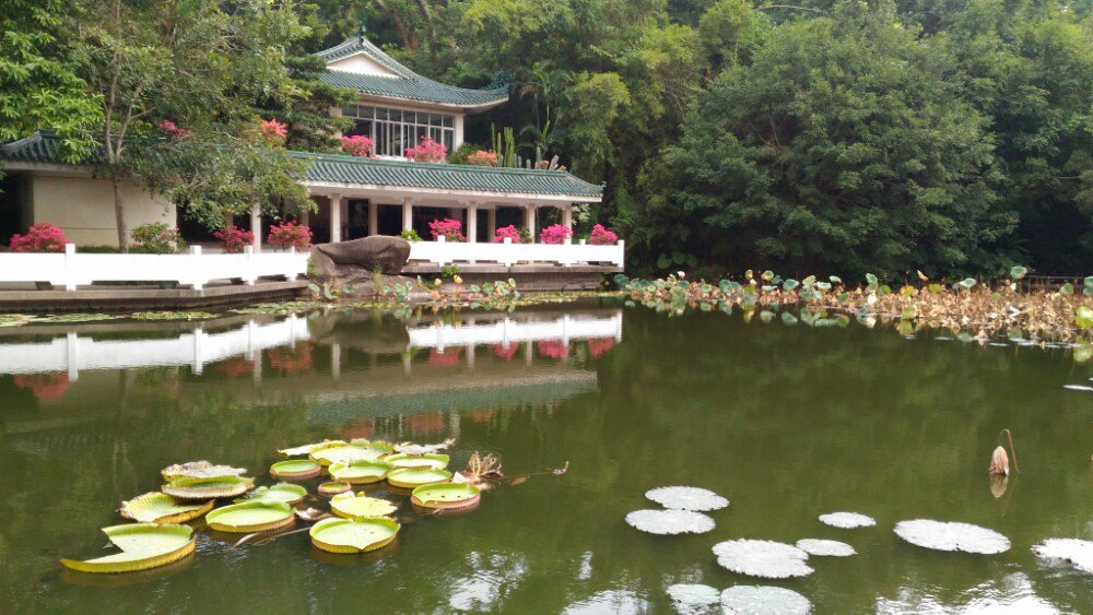 廈門園林植物園旅遊景點攻略圖