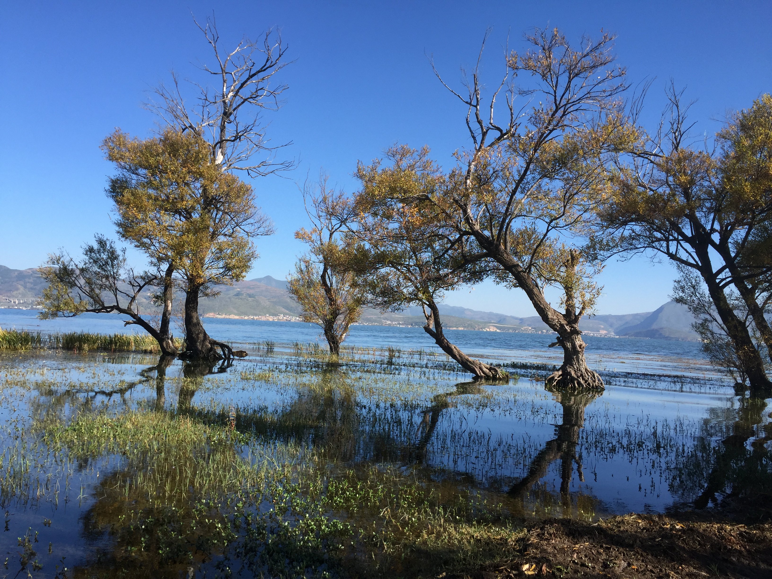 有知道海舌公園嗎,風景如何呀?