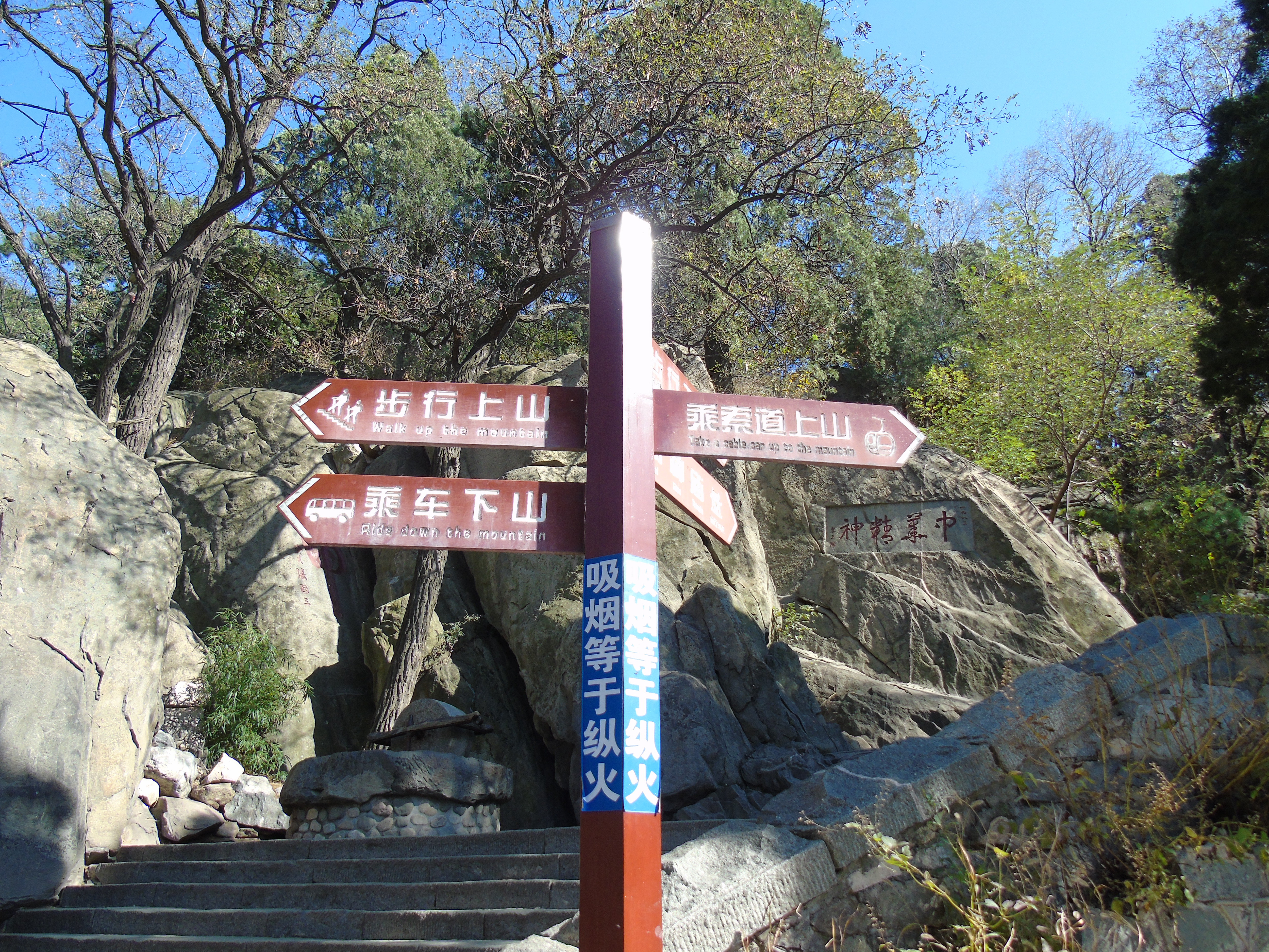 為了散文《泰山極頂》-而登泰山