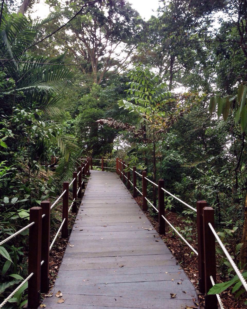 【携程攻略】新加坡武吉知马天然保护区景点,很低的山,高163米,站在