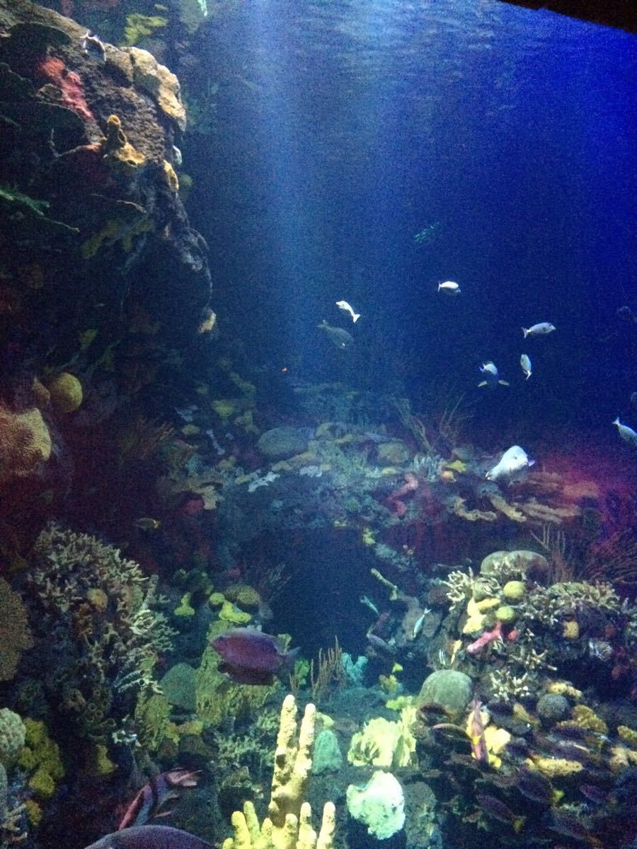 九江大中路步行街