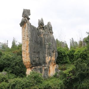 2019阿诗玛化身石_旅游攻略_门票_地址_游记点评,石林旅游景点推荐