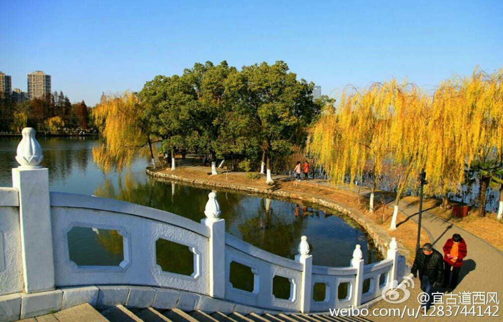 【攜程攻略】安慶菱湖風景區好玩嗎,安慶菱湖風景區景點怎麼樣_點評