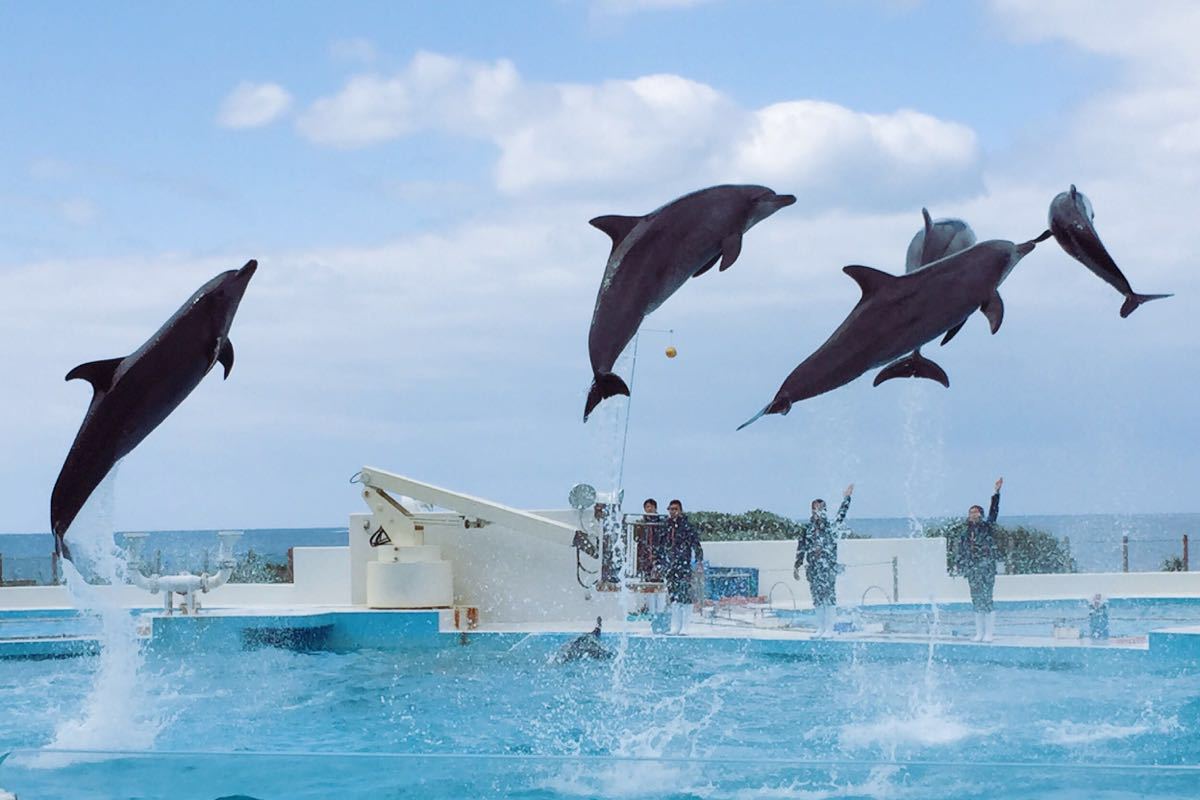 冲绳美丽海水族馆