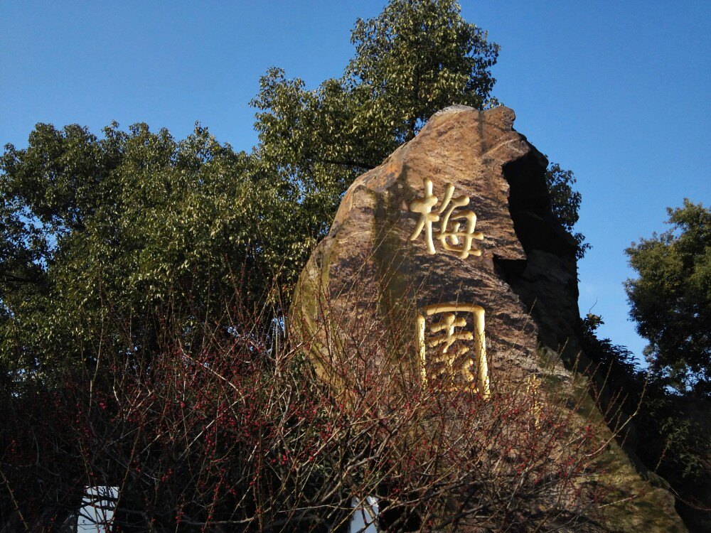 安吉梅园,安吉杭垓镇(第2页)_大山谷图库