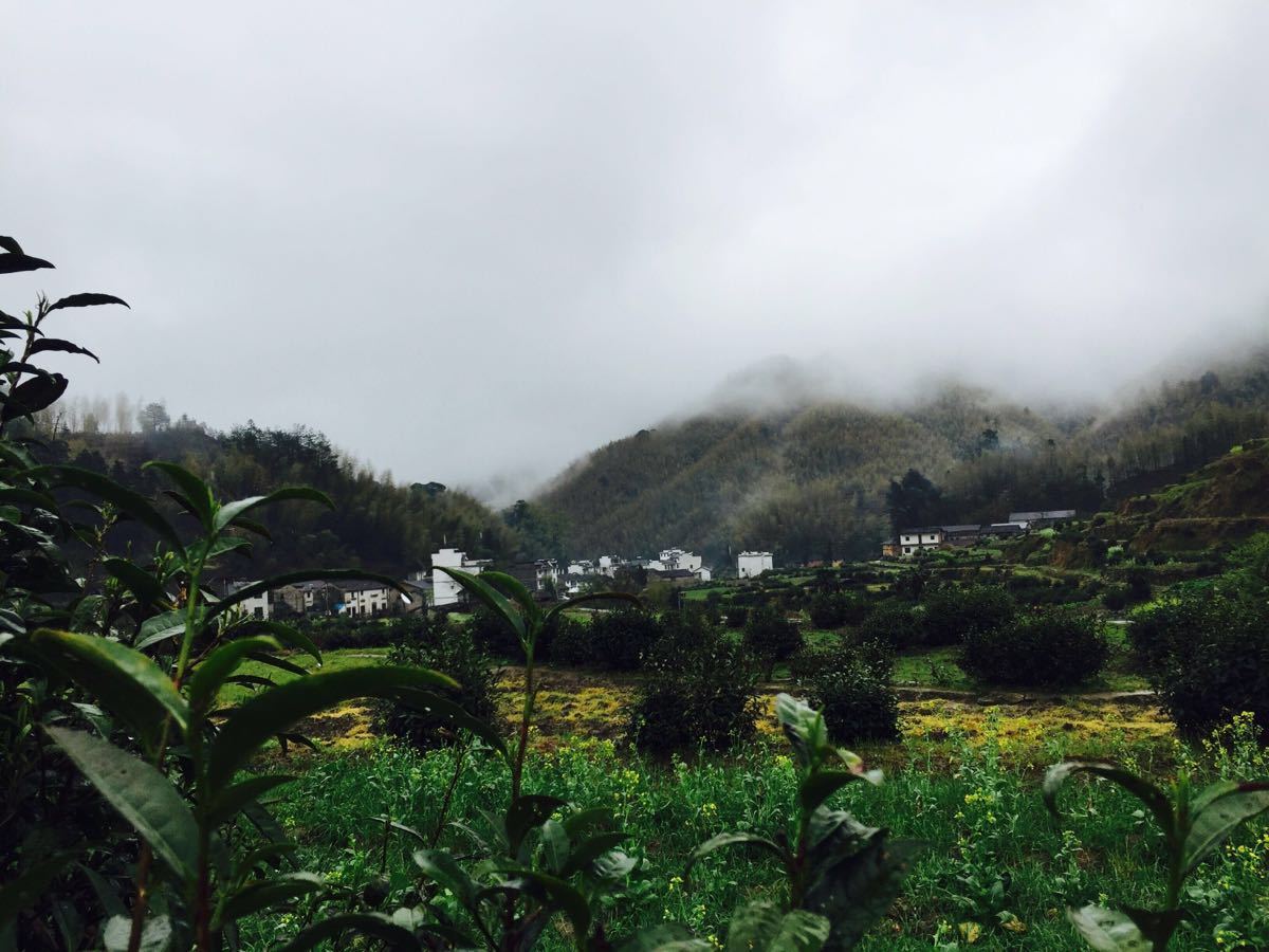 【攜程攻略】安徽黃山市休寧白際大峽谷好玩嗎,安徽白際大峽谷景點怎