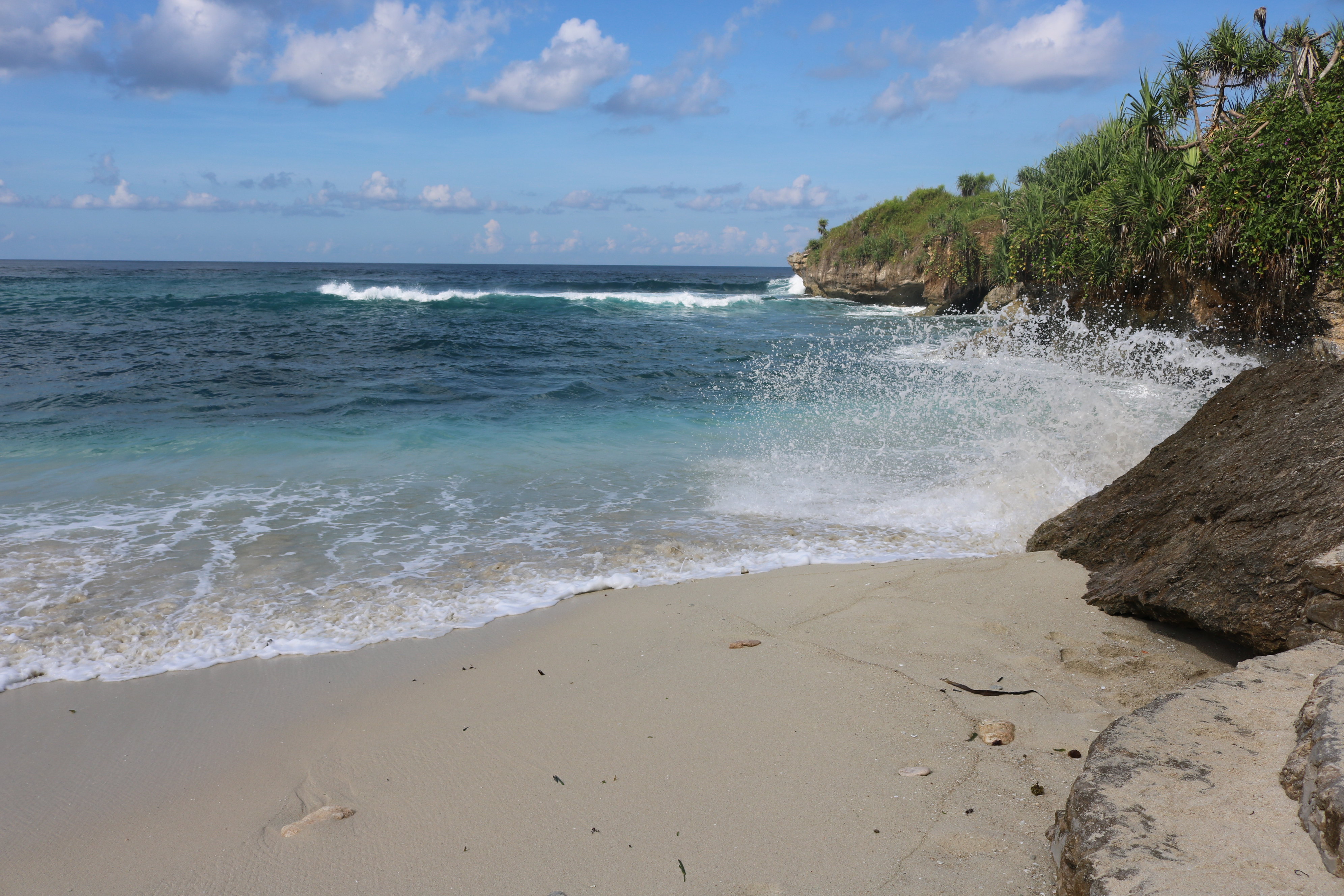 巴厘岛危机：红树林遭破坏，海滩上丢满垃圾，昔日天堂岛不复从前_游客