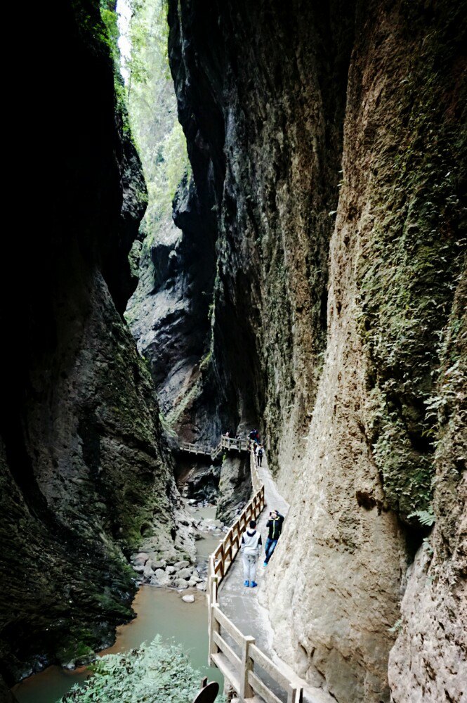 从天坑出口到地缝入口有一段不太长的上坡路,可以自行步行,也可花15元