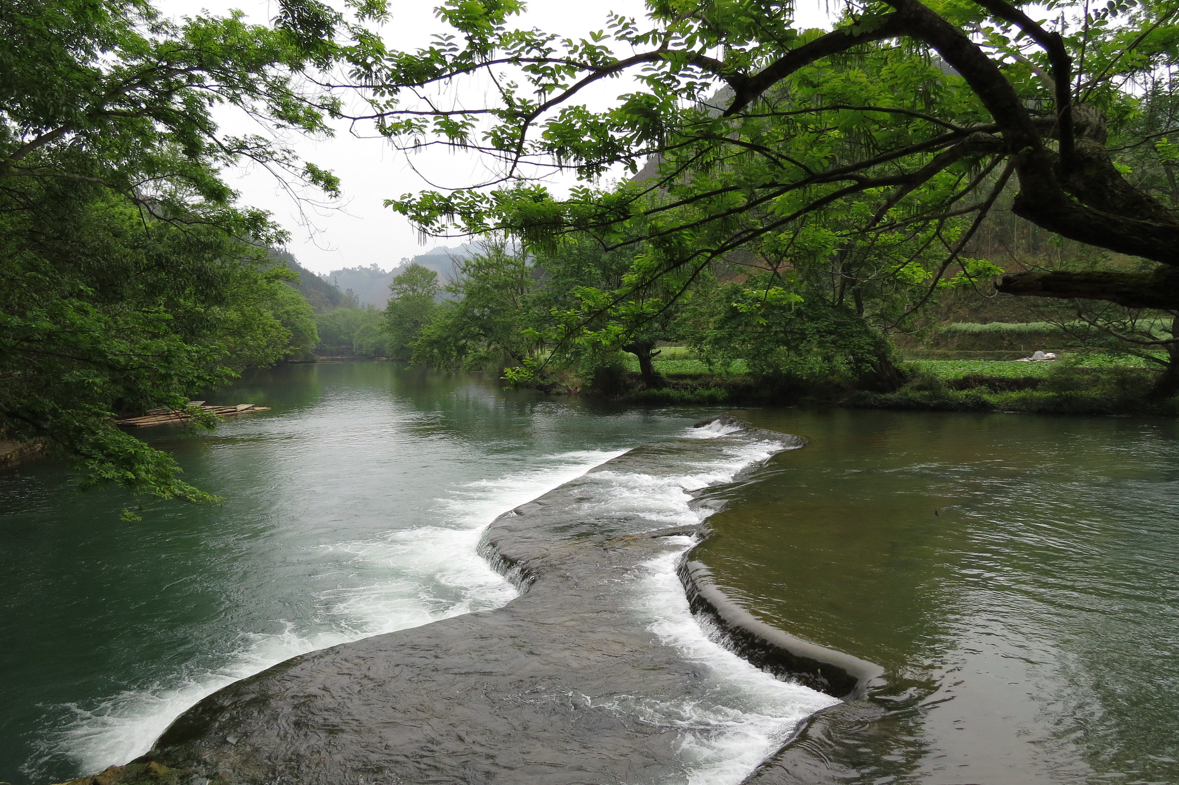 2019多依河_旅遊攻略_門票_地址_遊記點評,羅平旅遊景點推薦 - 去哪兒