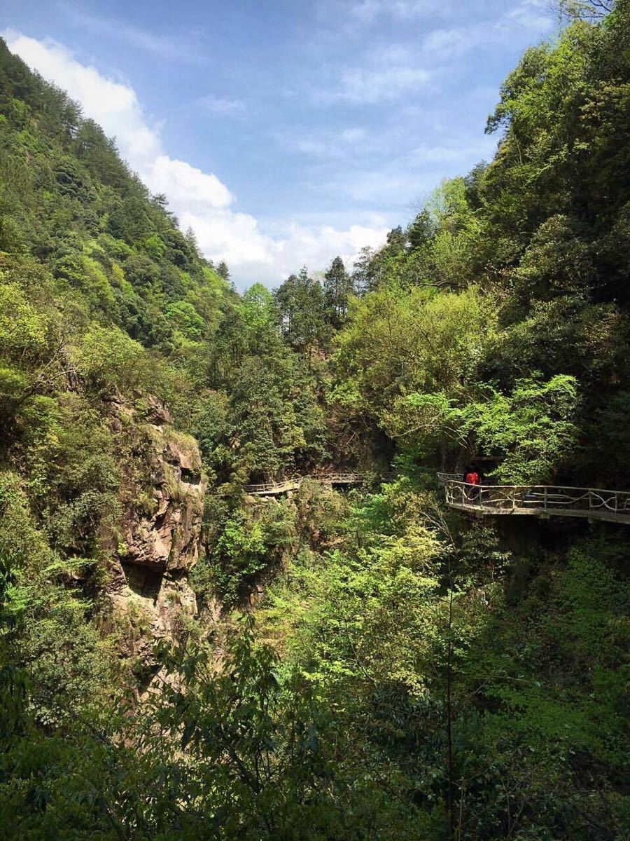 2019浙西大峽谷_旅遊攻略_門票_地址_遊記點評,臨安旅遊景點推薦 - 去