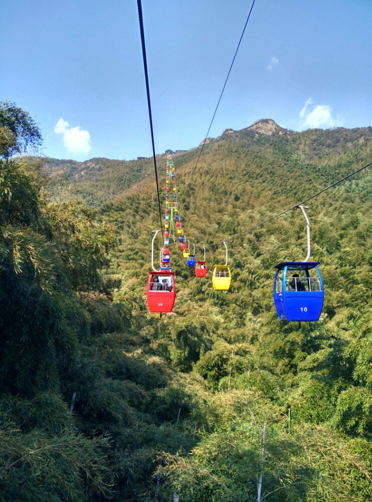 南山竹海