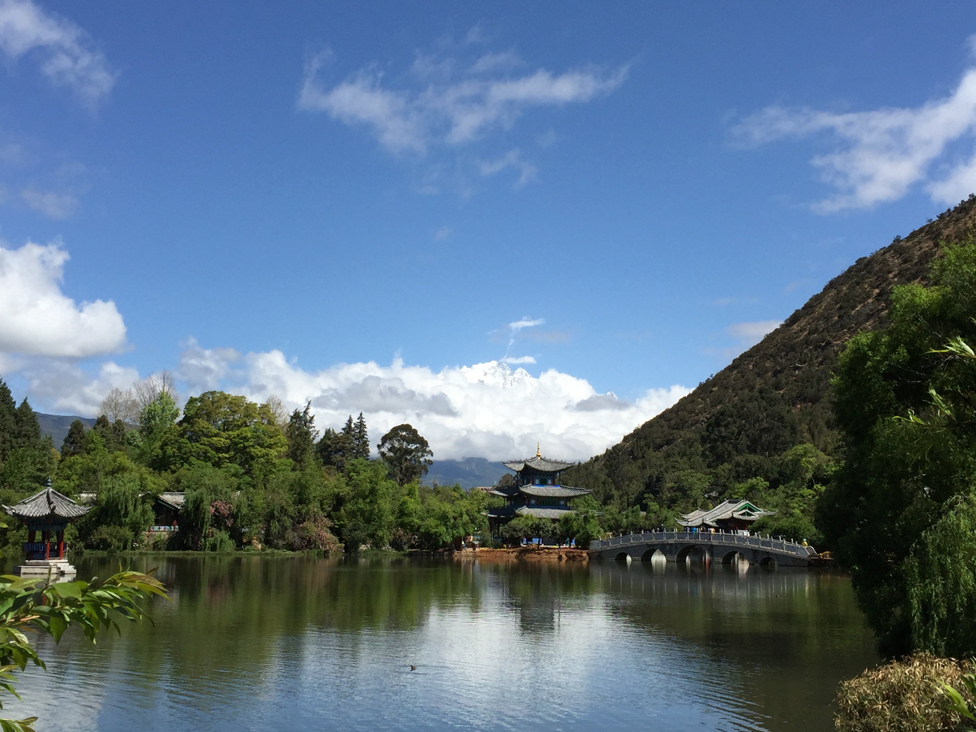 【攜程攻略】麗江黑龍潭公園適合情侶出遊旅遊嗎,黑龍潭公園情侶出遊