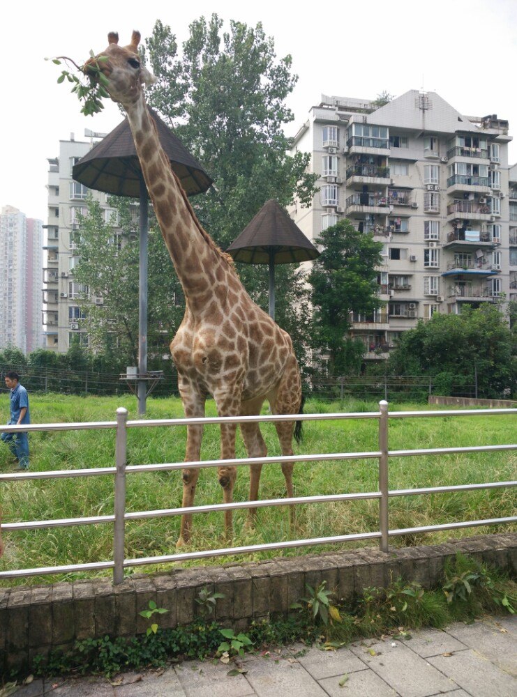 重慶動物園