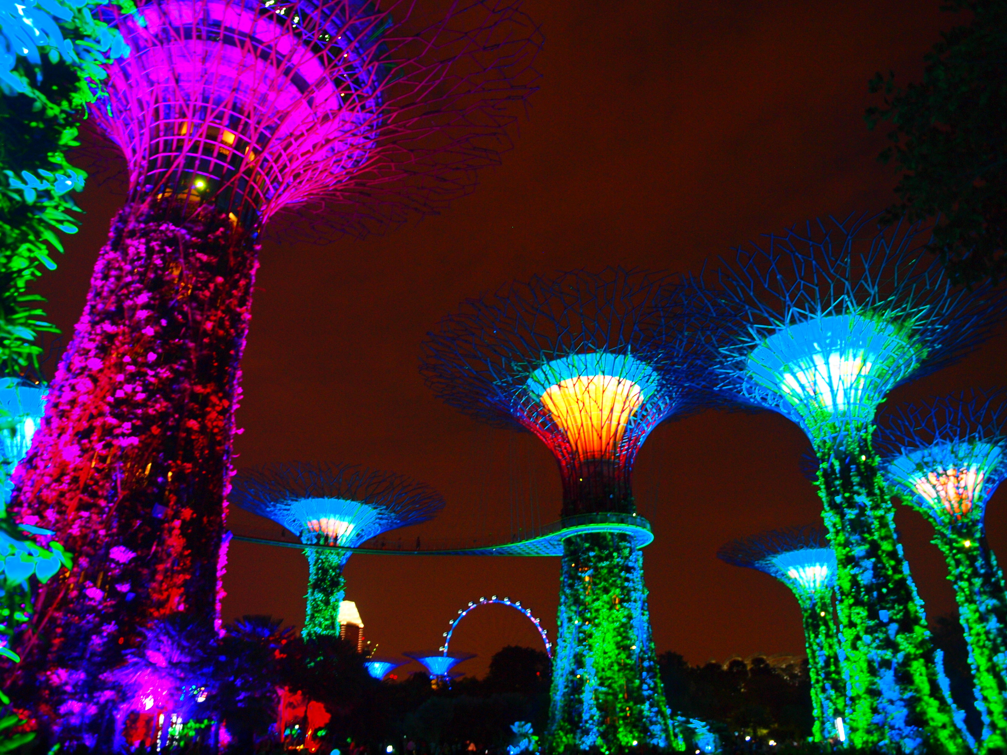2021新加坡摩天观景轮-旅游攻略-门票-地址-问答-游记点评，新加坡旅游旅游景点推荐-去哪儿攻略
