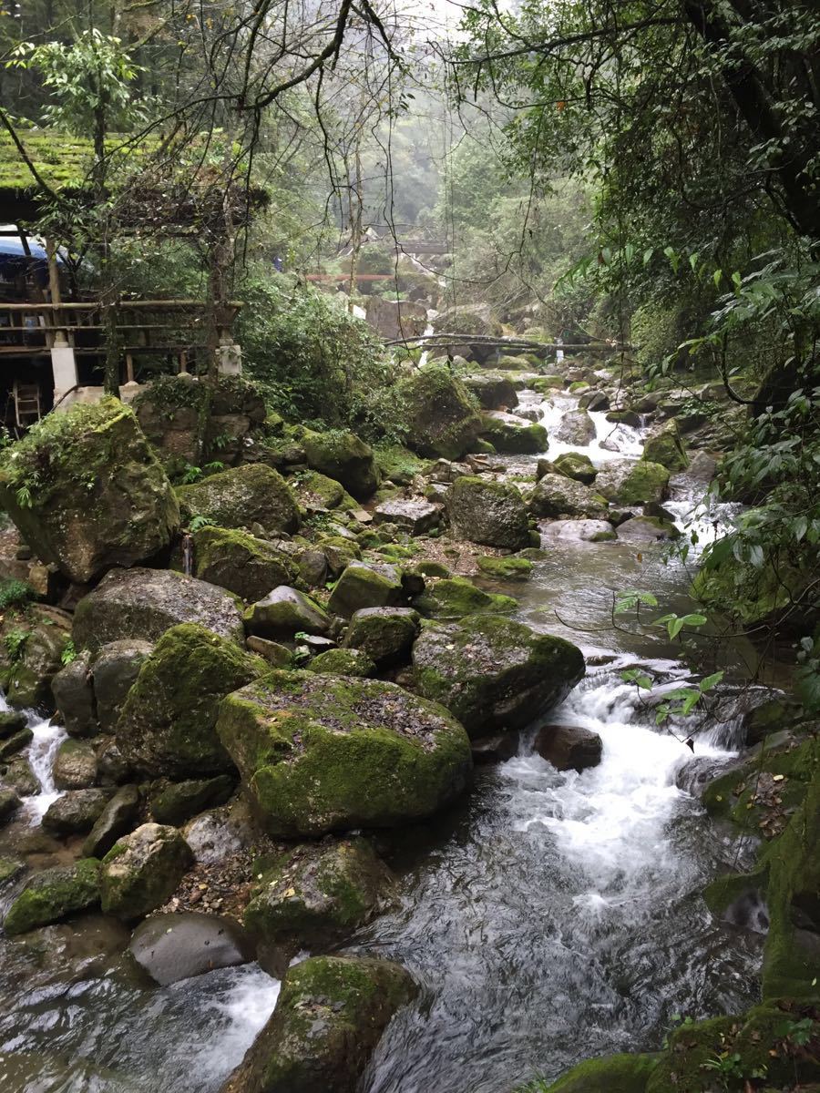 【携程攻略】四川成都都江堰青城山青城后山好玩吗,四川青城后山景点