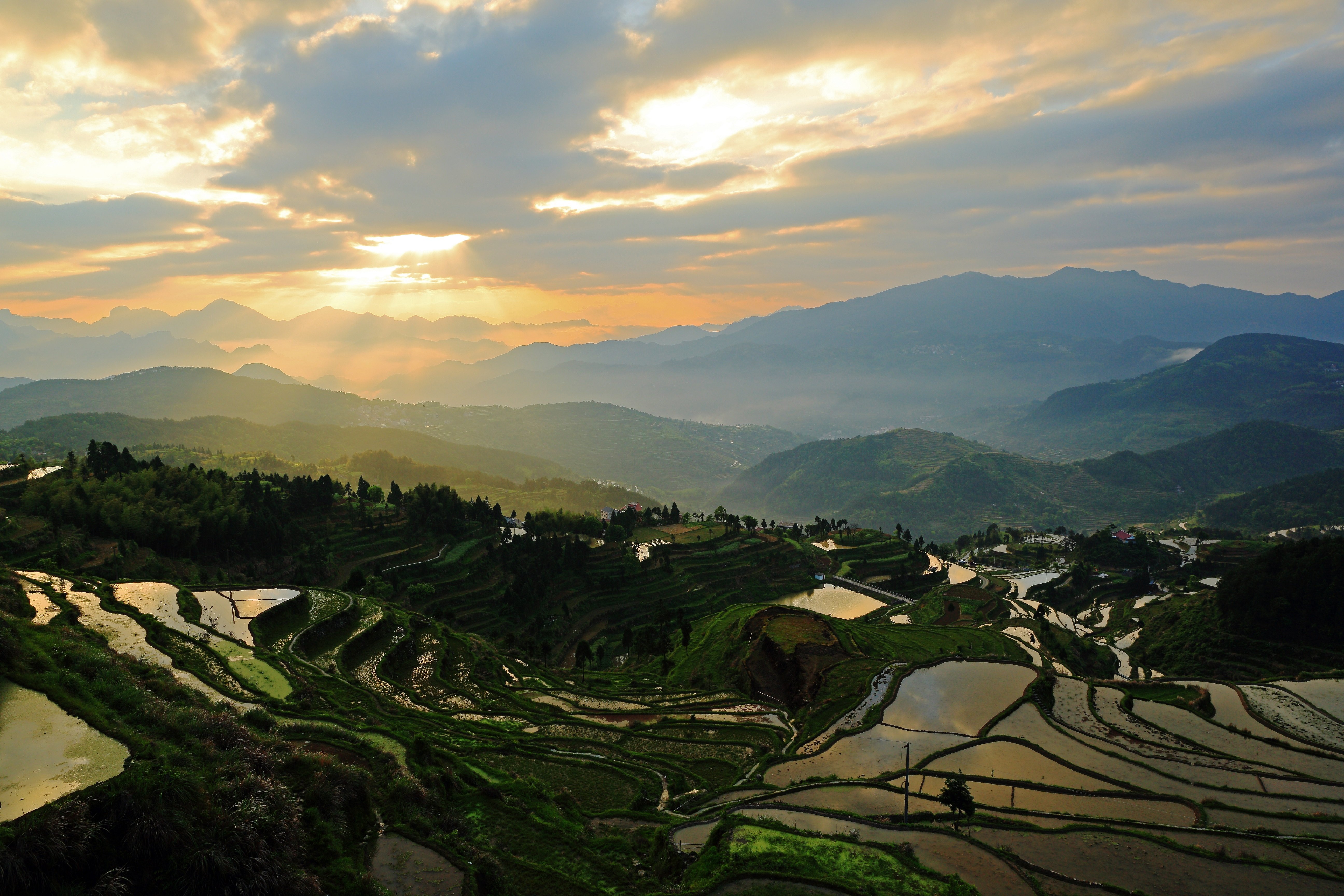 2023茗岙梯田游玩攻略,.客栈就在郑山村公路旁边,.【去哪儿攻略】