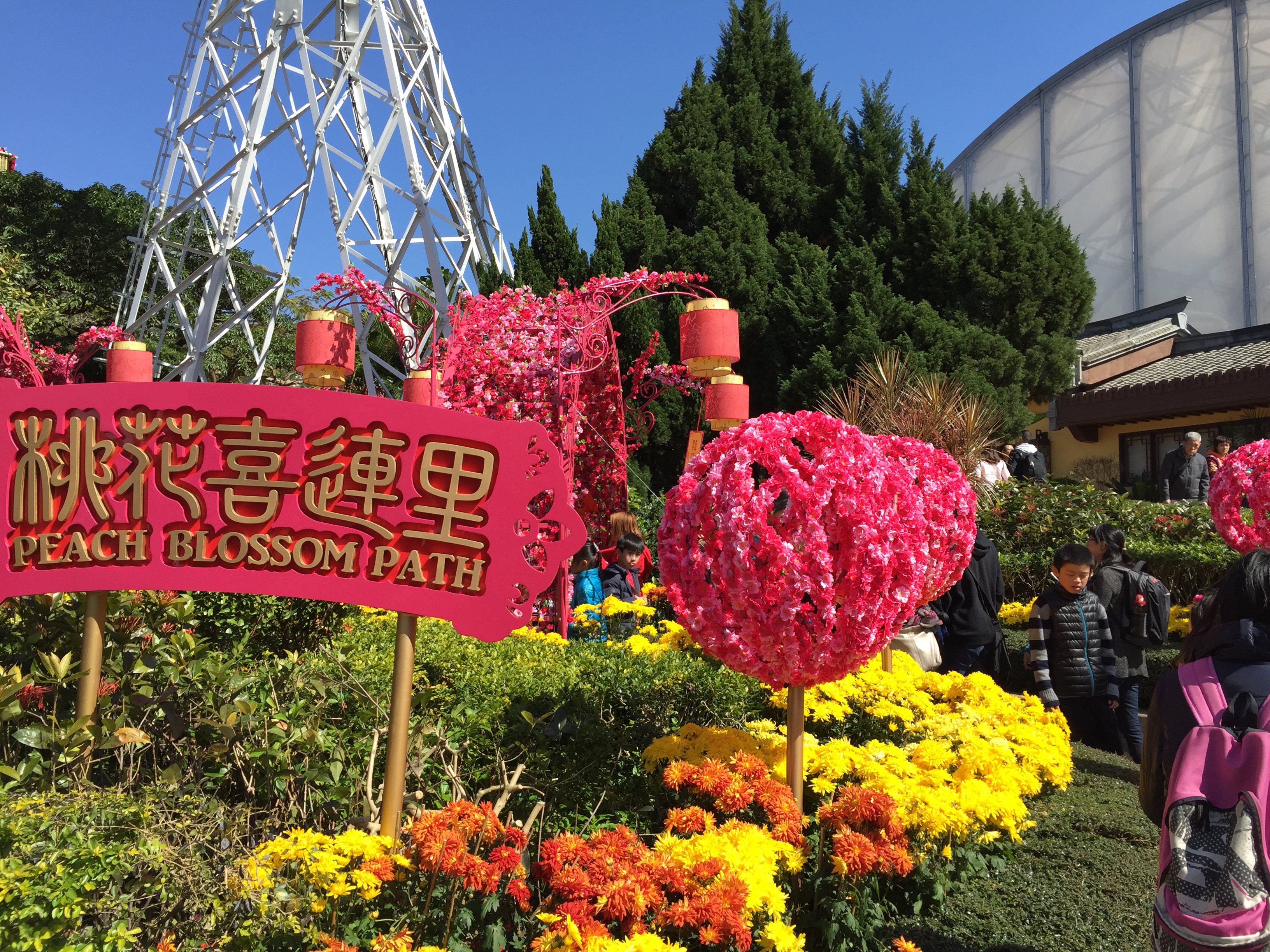 香港年宵花市购物攻略,年宵花市物中心/地址/电话/营业时间【携程攻略