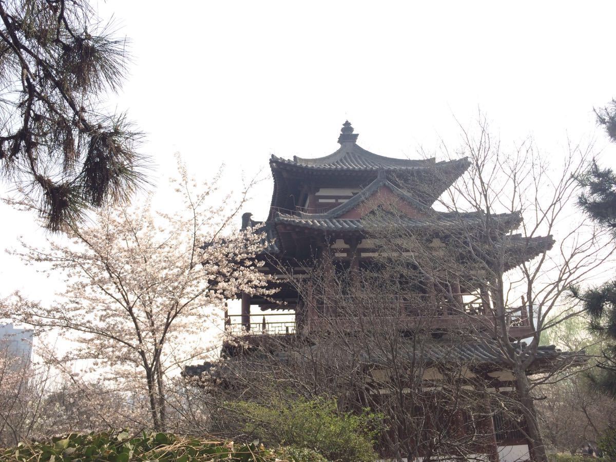 青龙寺