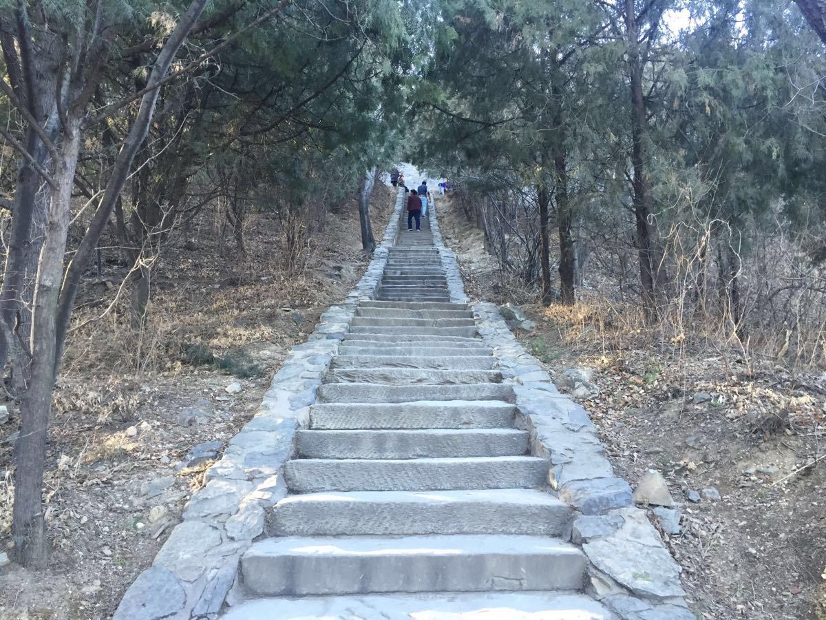 香山是北京近郊最好的爬山点,山不高海拔提升也就400-500米,最高香