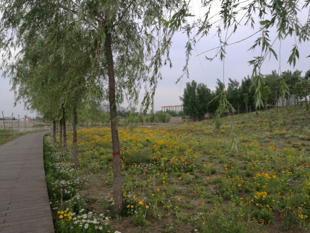 鄒城唐王湖公園攻略,鄒城唐王湖公園門票/遊玩攻略/地址/圖片/門票