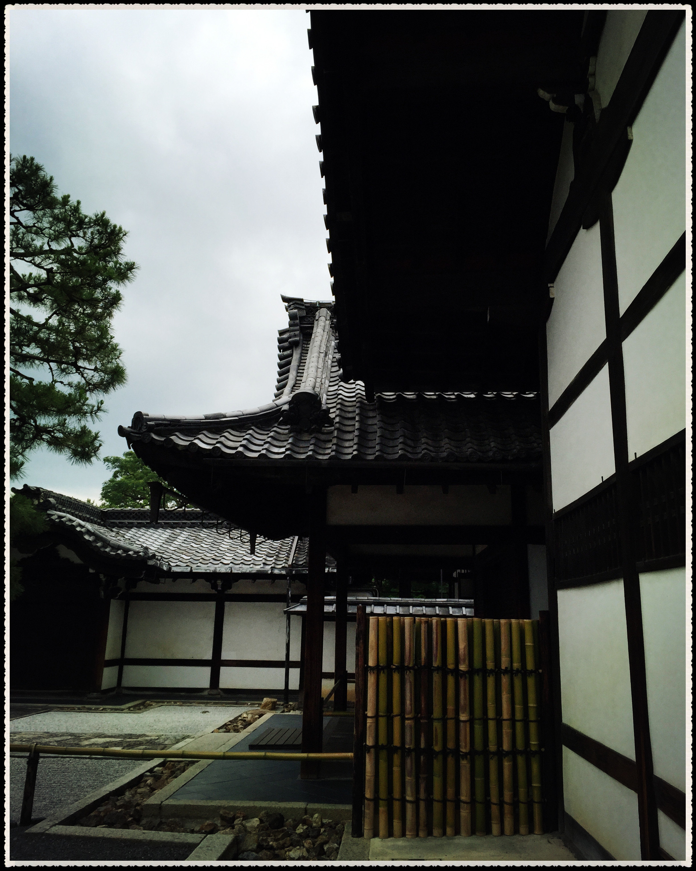 京都京都府高台寺图片