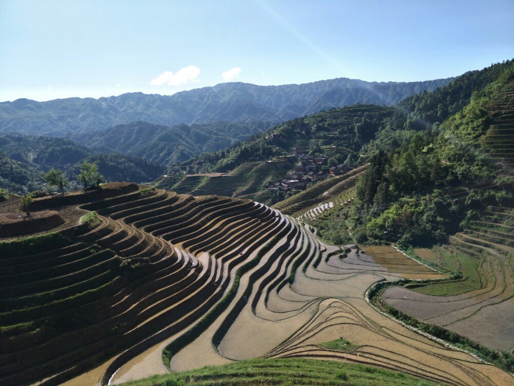 龍脊梯田旅遊景點推薦 - 去哪兒攻略社區