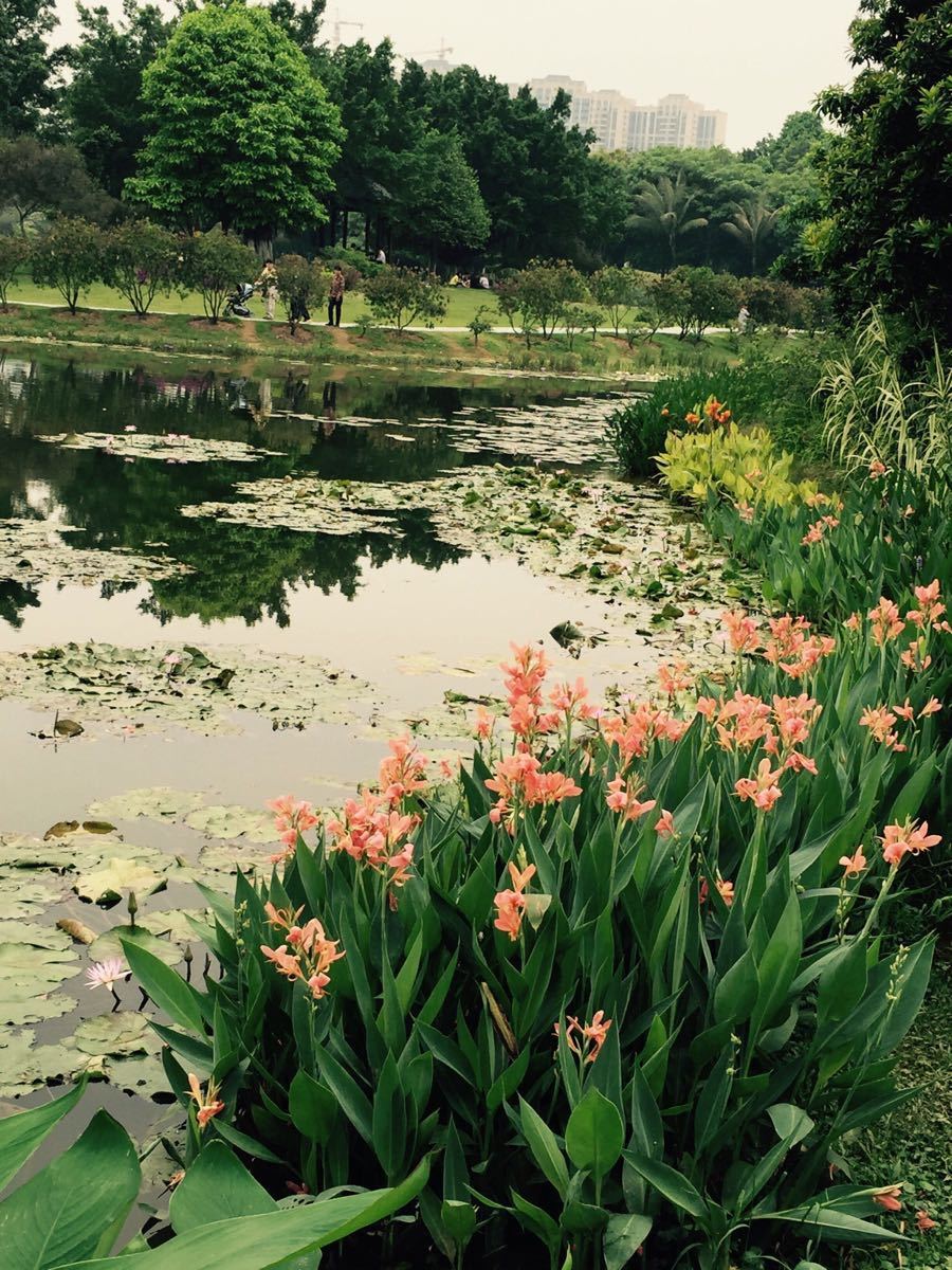 東莞植物園