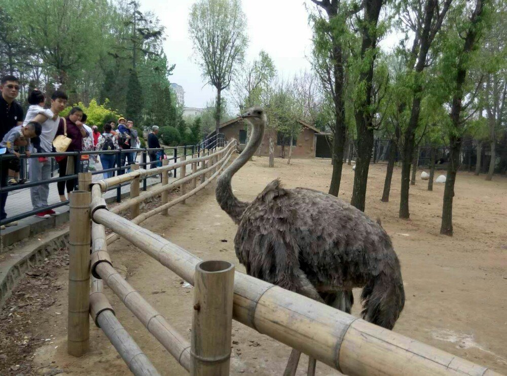 大連森林動物園