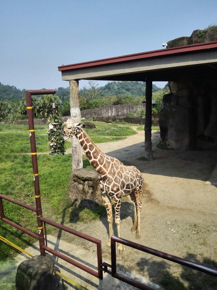 台北市立动物园