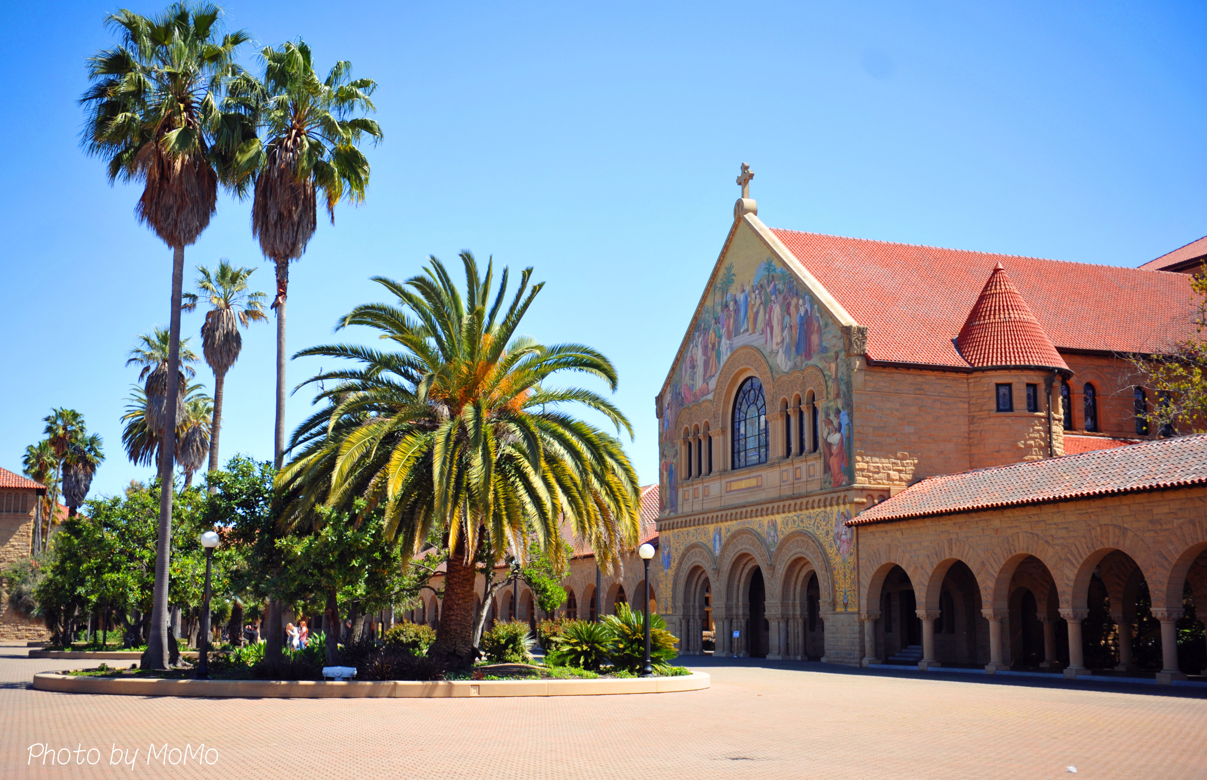 【携程攻略】斯坦福斯坦福大学椭圆形公园景点,stanford university